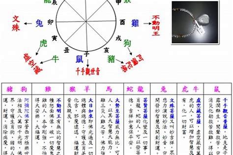 怎樣知道自己的五行|如何查自己五行什么命 快速查自己的五行属性